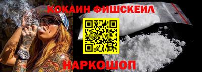 крисы Кулебаки