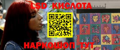 крисы Кулебаки