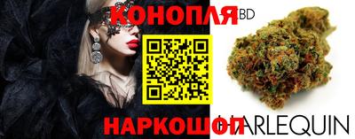 крисы Кулебаки