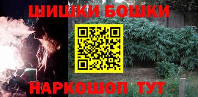 крисы Кулебаки