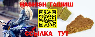 крисы Кулебаки