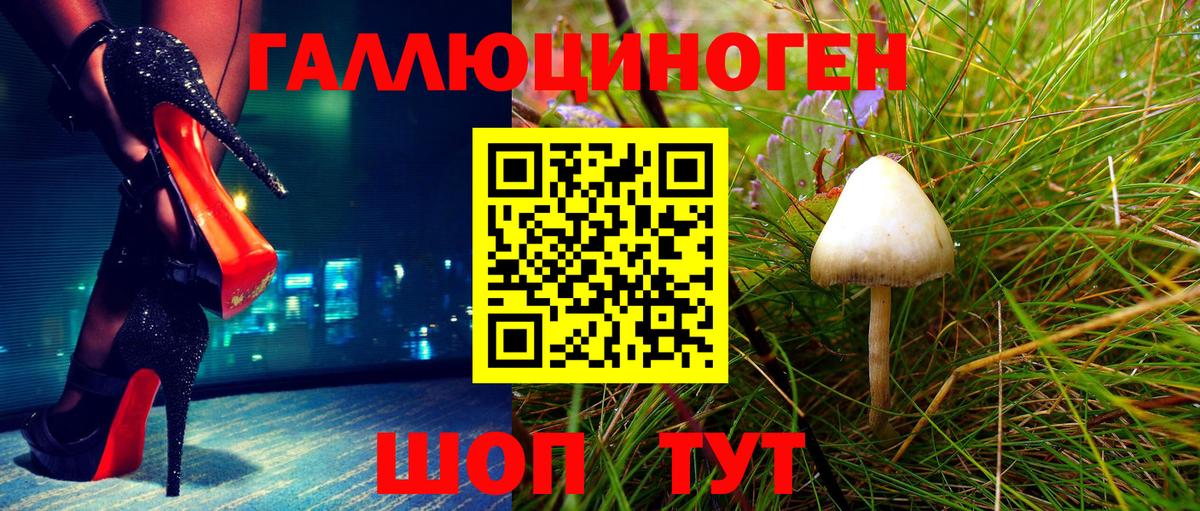 Псилоцибиновые грибы мухоморы Шебекино